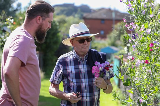 A man pruning wildflowers at an Alzheimer Scotland Allotment