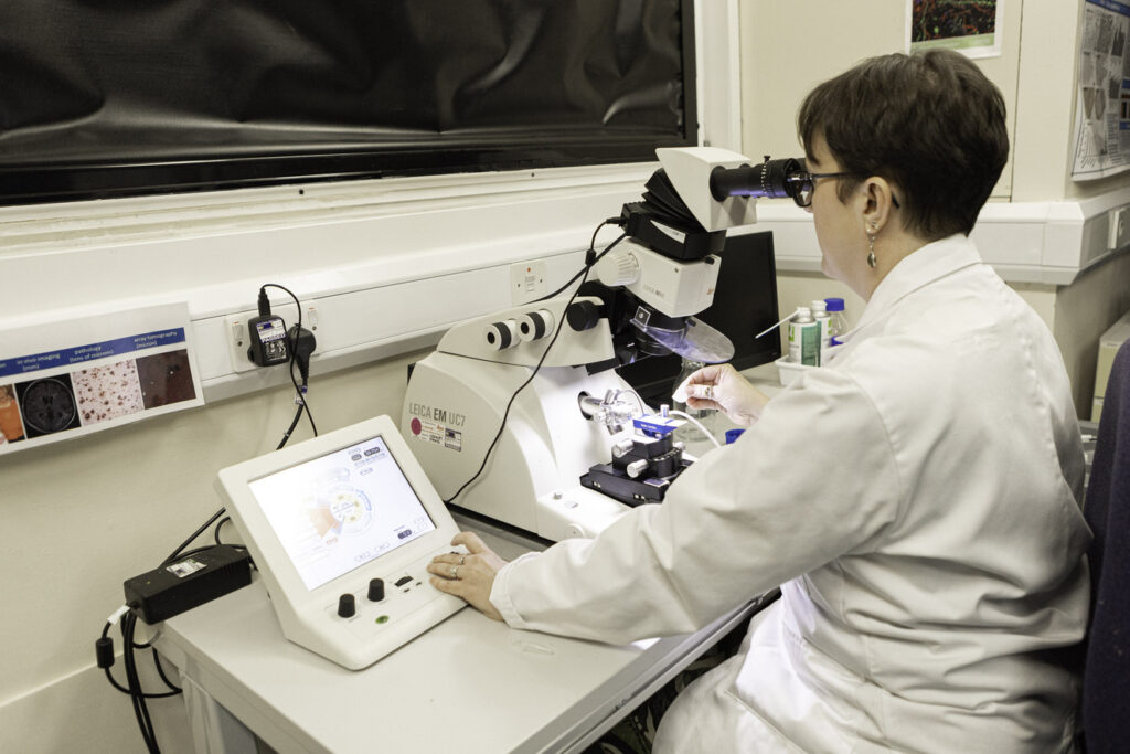 Scientist in lab with high powered microscope conducts dementia research